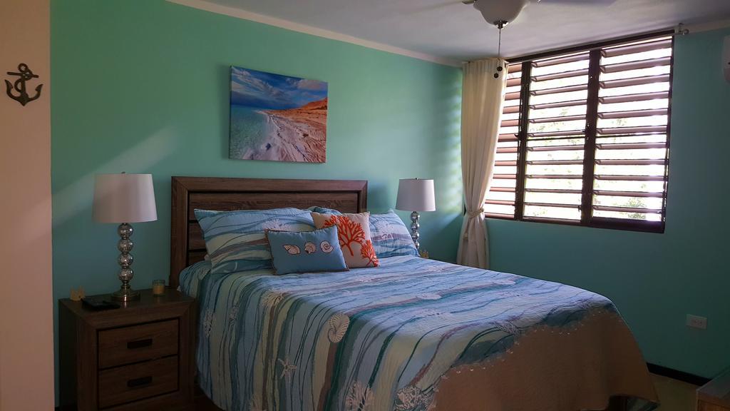 Fully Air-Conditioned Beach Front Penthouse Apartment Naguabo Exteriér fotografie
