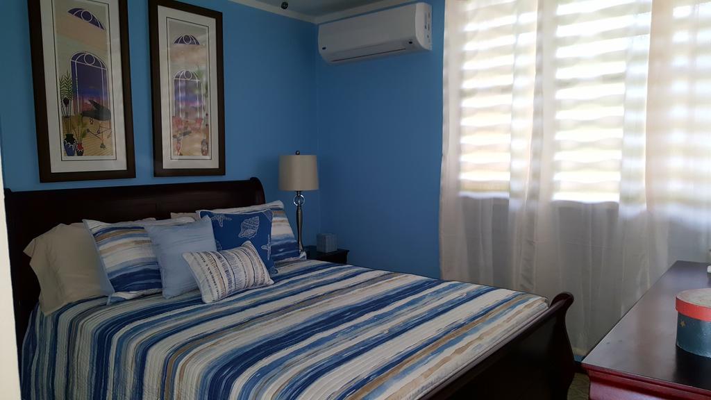 Fully Air-Conditioned Beach Front Penthouse Apartment Naguabo Exteriér fotografie