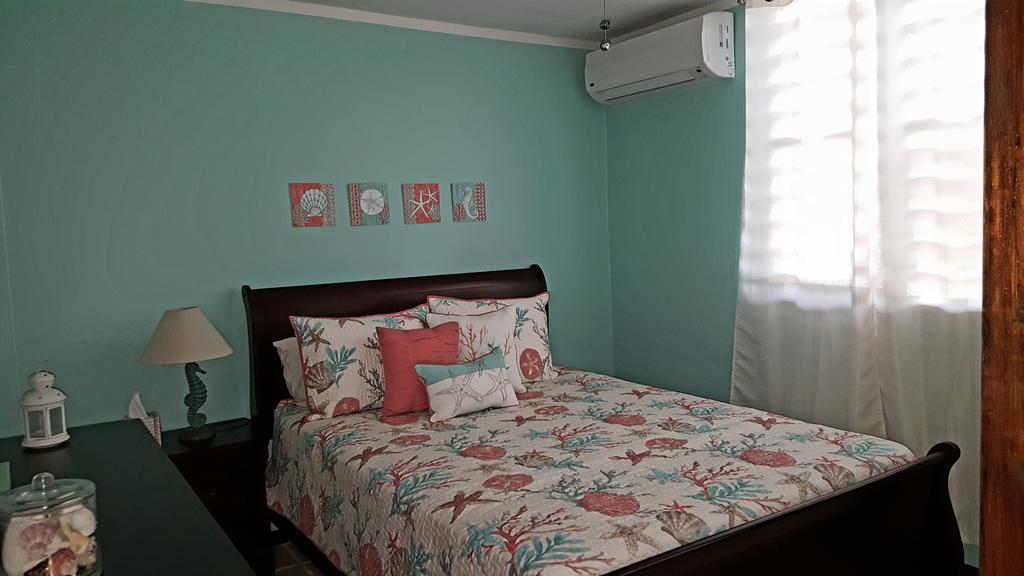 Fully Air-Conditioned Beach Front Penthouse Apartment Naguabo Exteriér fotografie